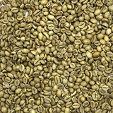 Vietnam Robusta Washed