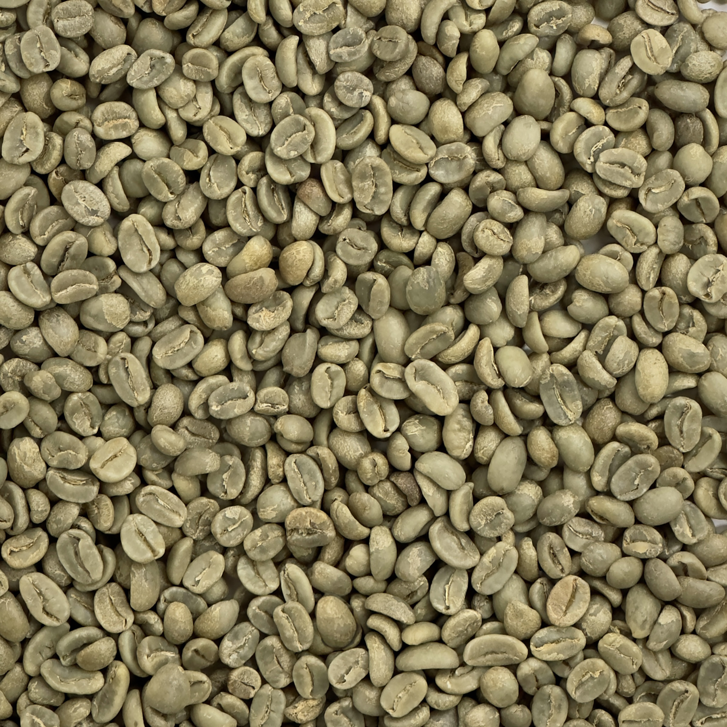 Peru: Organic Finca La Esperanza G1, San Martin PERUORGESPERANZA