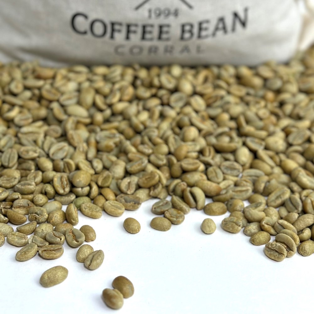 AeroPress Original Coffee Maker with Tote Bag - Coffee Bean Corral